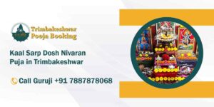 Kaal Sarp Dosh Nivaran Puja in Trimbakeshwar 