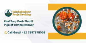 Kaal Sarp Dosh Shanti Puja at Trimbakeshwar